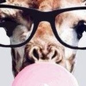 Profile photo of Maria