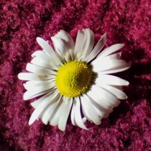 Profile photo of Maria