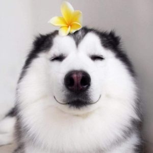 Profile photo of Blanca