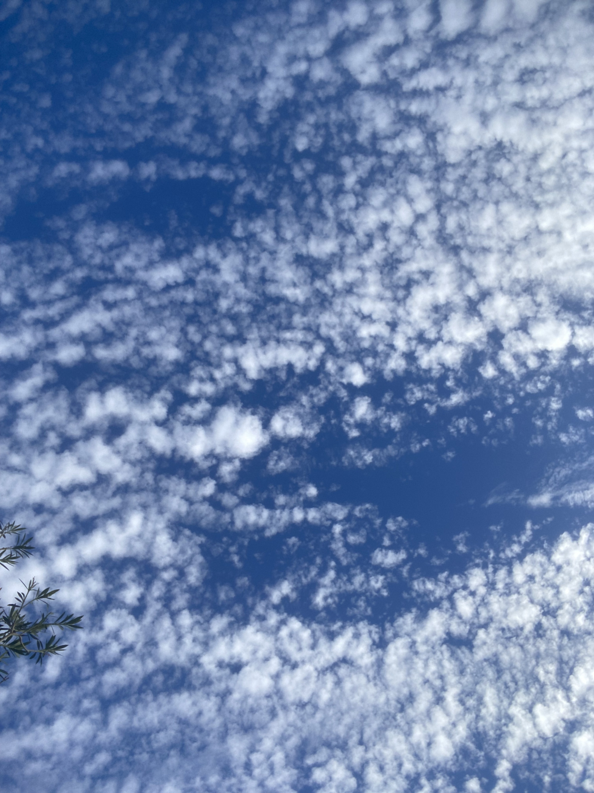66c1ff389c827 bp cover image