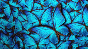 62a127f7cb5d7 bp cover image